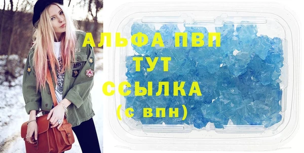 прущие грибы Абдулино